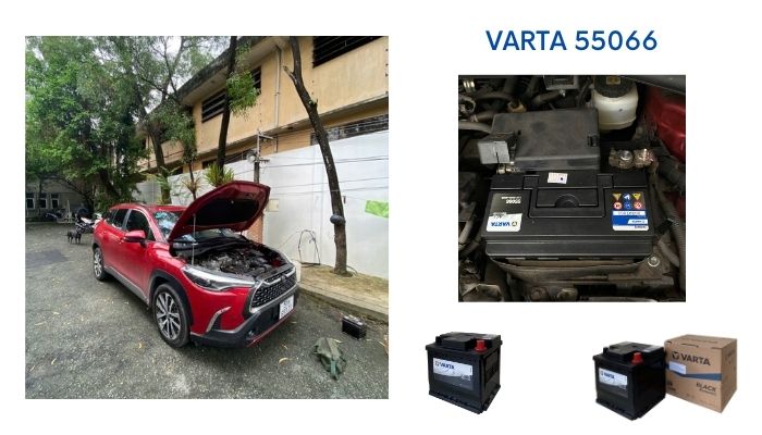 ắc quy varta 55066